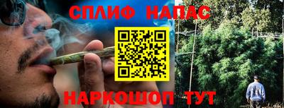 apvp Пугачёв