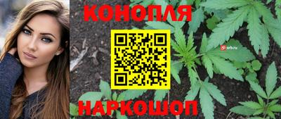 гашик Пушкино