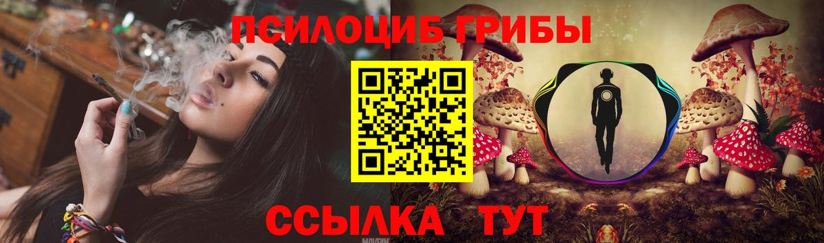 Рузаевка  Галлюциногенные грибы Psilocybe  Вход с VPN 